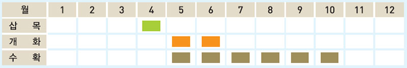 돌나물 재배일정표