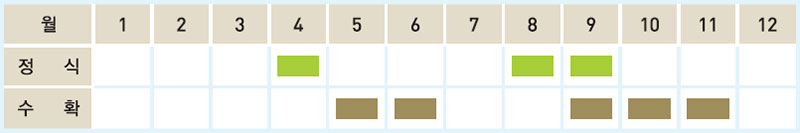 쑥갓 재배일정표