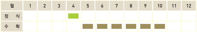 로즈마리 재배일정표