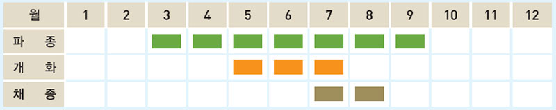 타임 재배일정표