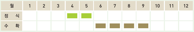 오이 재배일정표