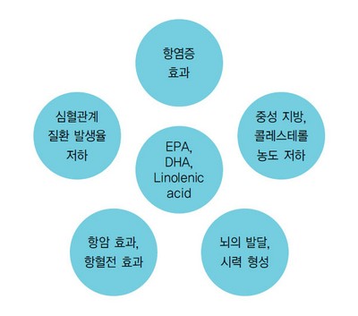 불포화지방산의 영양기능성 No2.