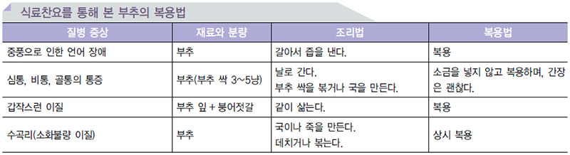 채소류 음식의 효능 No3.