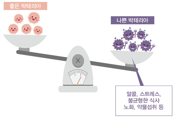 장내 박테리아의 균형과 건강