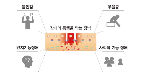 장점막 붕괴와 질병