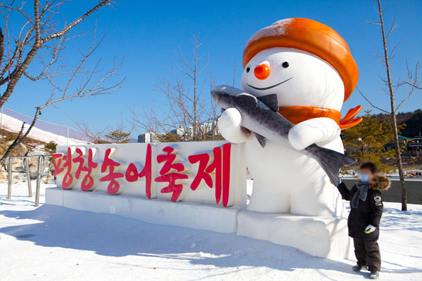 평창 송어축제