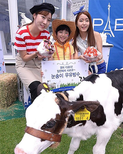 빙수야 ! 빙수 !! 요즘 세대 요즘 보양식 우유빙수