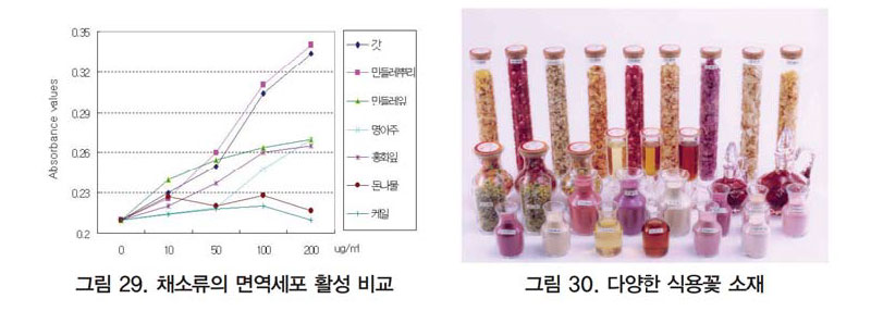 채소류의 면역세포 활성 비교