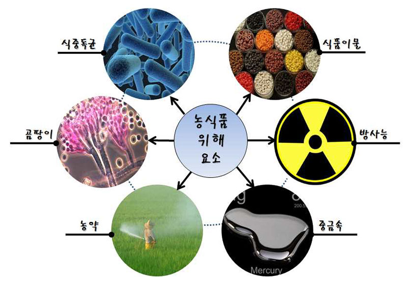 농산물 6대 위해요소