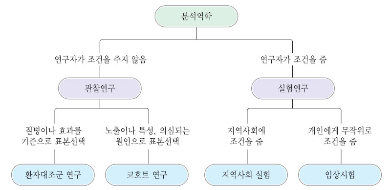 분석역학의 연구 형태