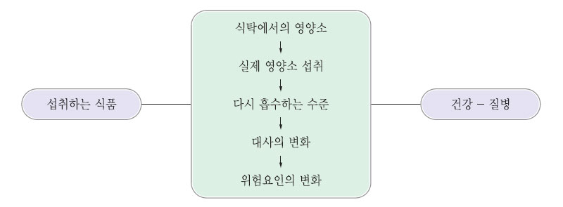 섭취하는 식품과 질병과의 관계