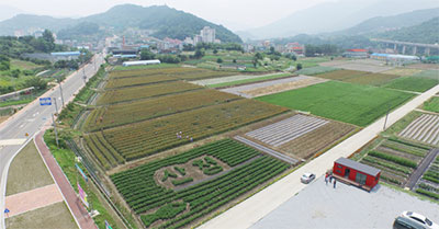 산청군 약초체험장