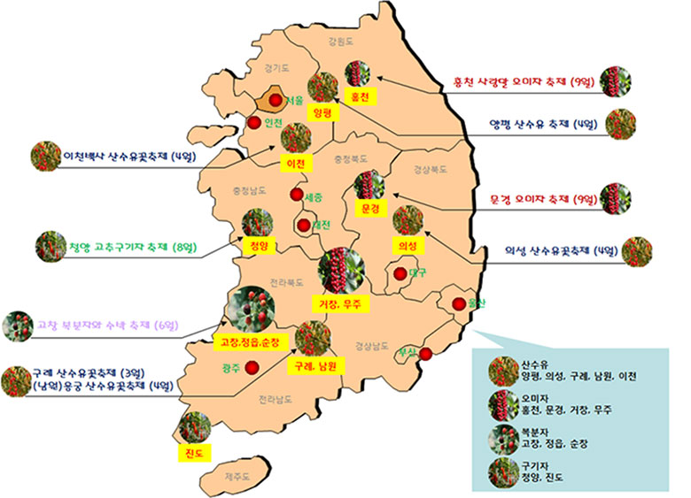 약용열매축제