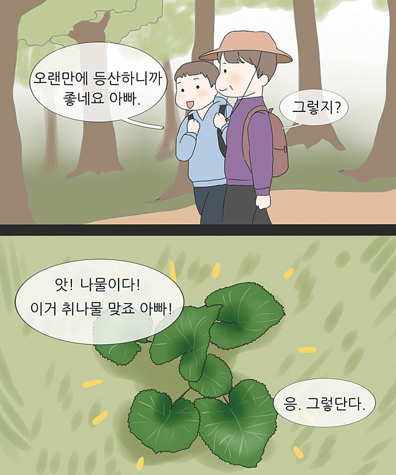 취나물 발견!