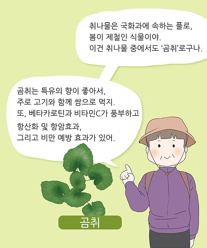 곰취의 특성