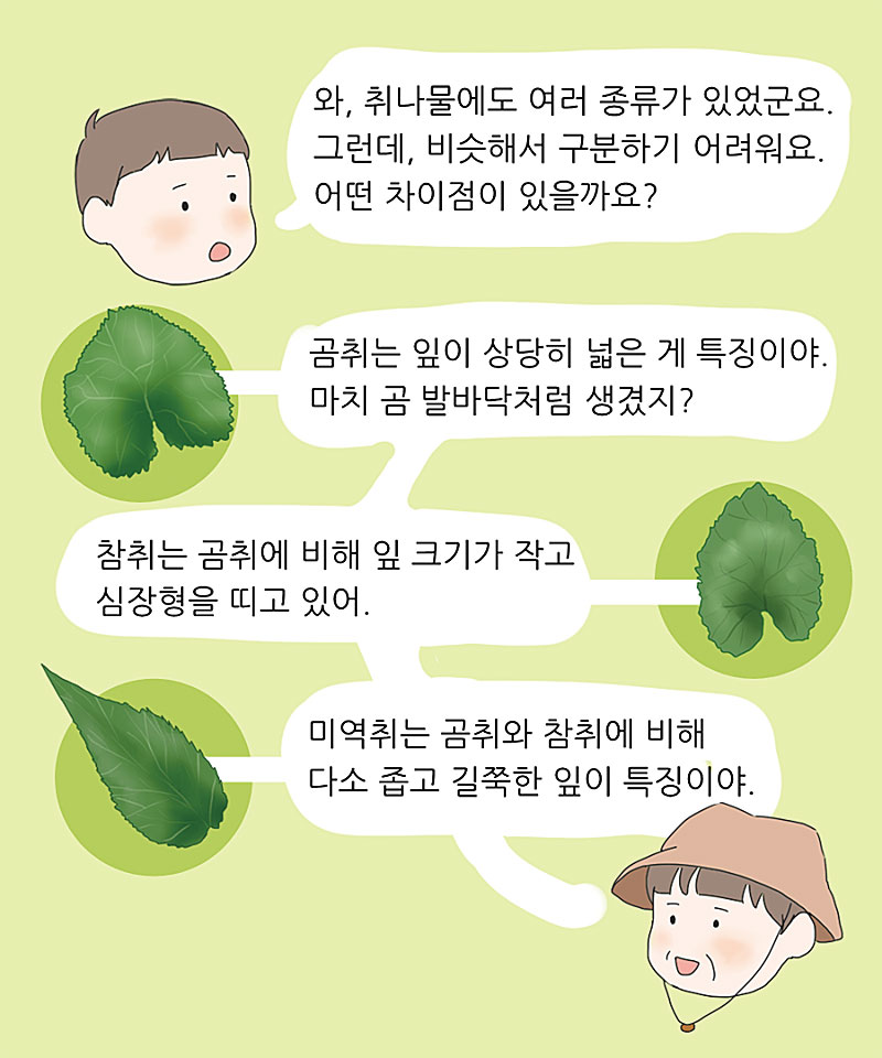 취나물의 비교