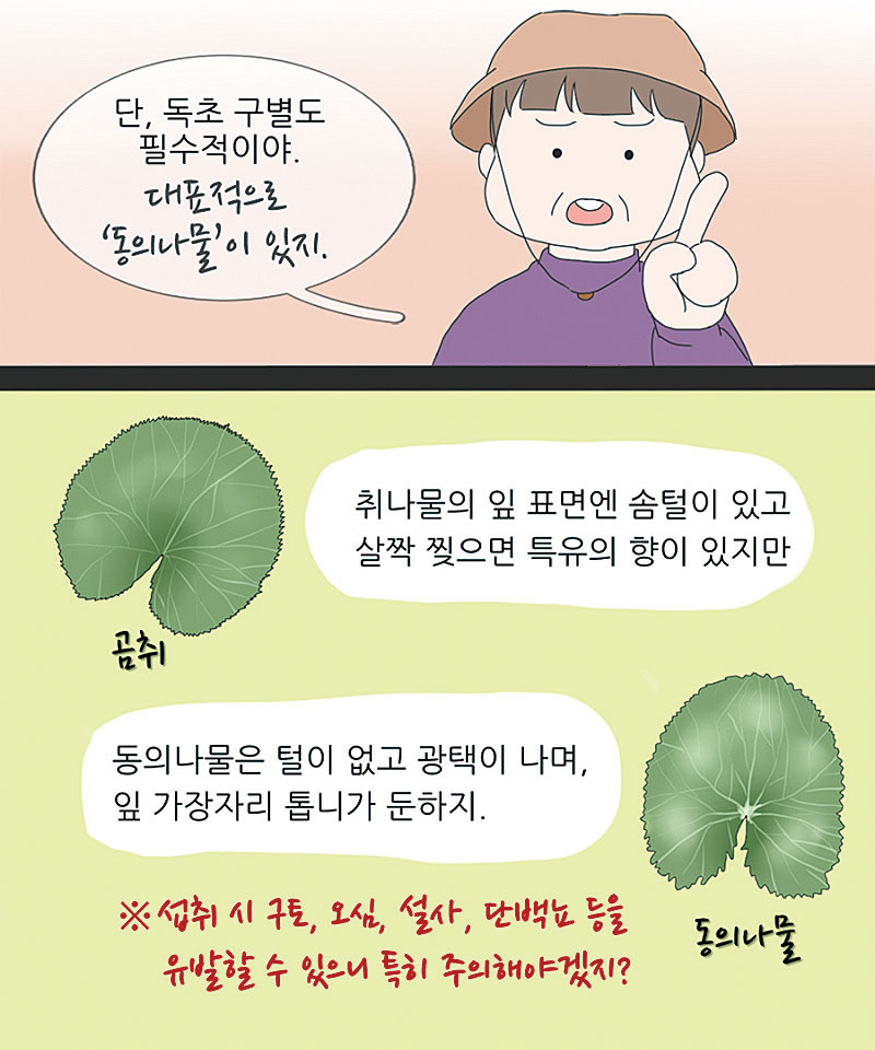 취나물과 닮은 독초