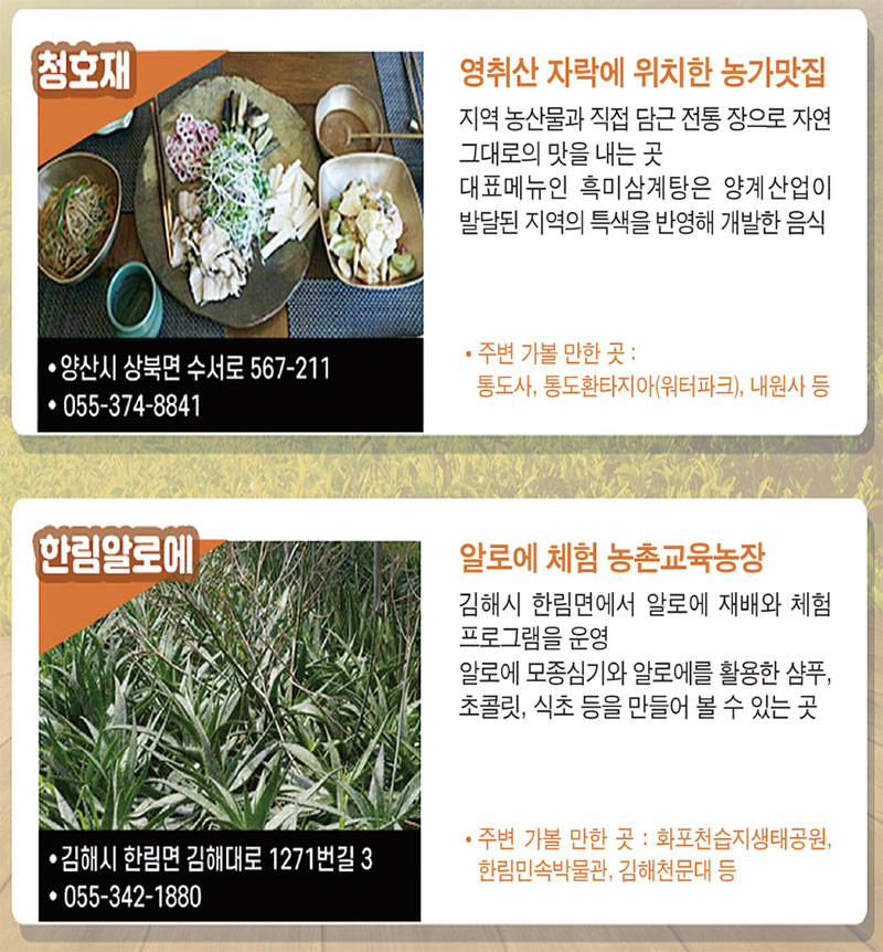 경상남도 농촌여행