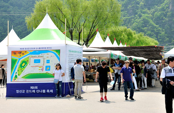 정선군 곤드레 산나물 축제