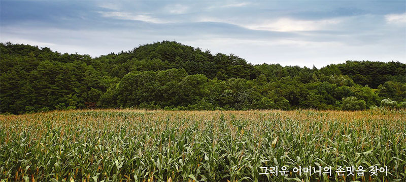 어머니의 손맛 [강원도] 홍천 이야기