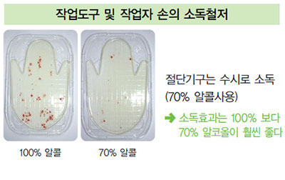 식재료 박피 및 절단 위생 과정 No5.