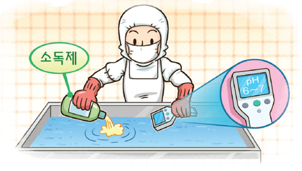 주방 효과적인 소독