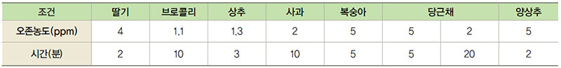 식재료 품목별 처리 조건