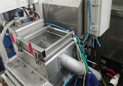 수산물 전처리 마른김 이물 선별