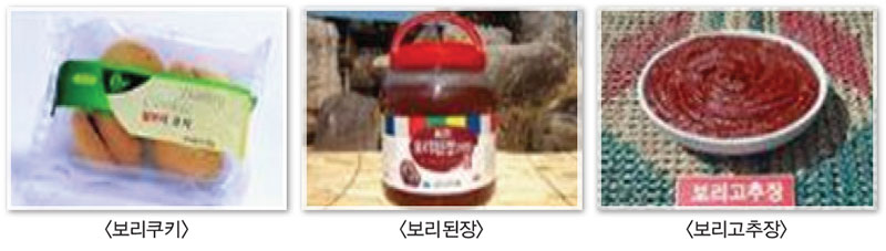 보리 식품소재 활용 기타