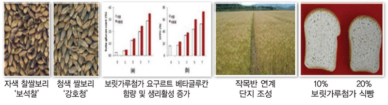 기능성 보리 및 가공제품 개발