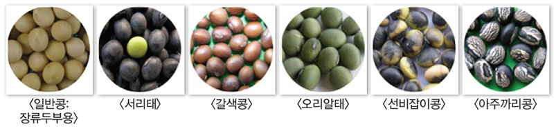 콩 식품소재 활용성