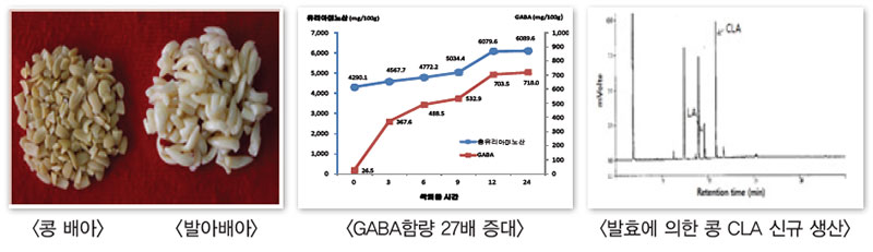 콩을 이용한 기능성 식품