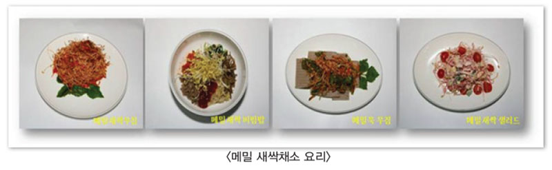 메밀 새싹 채소 요리