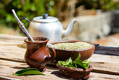 예르바 마테차(Yerba Mate Tea)