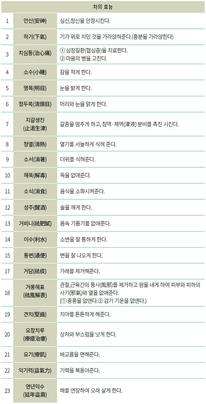 차 기능성 성분의 특징