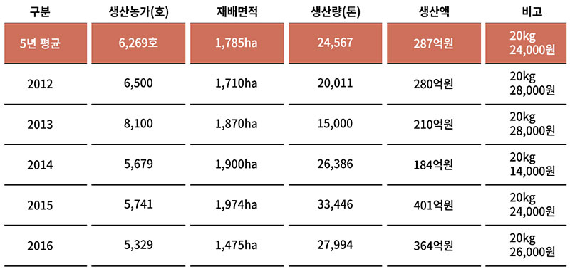 연도별 상주 둥시 생산량