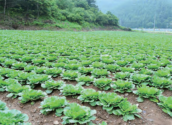 논농업직불제