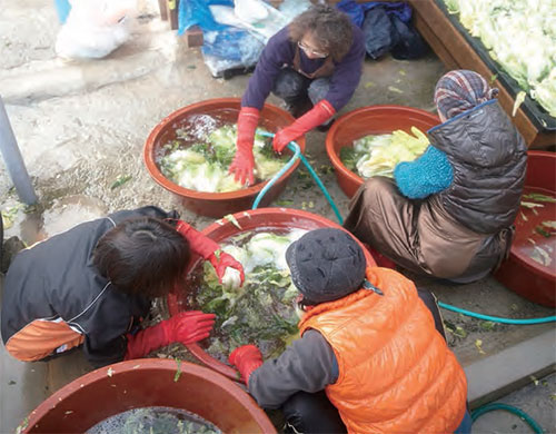 김치가 만드는 문화