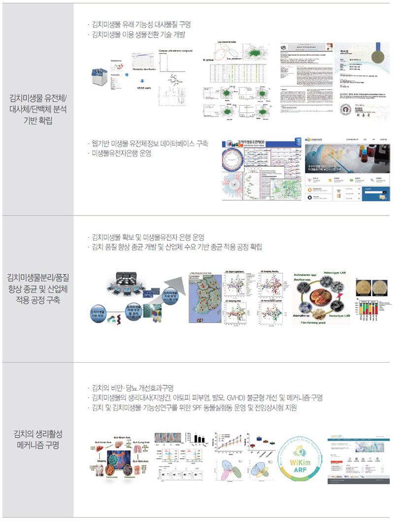 세계김치연구소 주요 연구 분야 미생물기능성연구