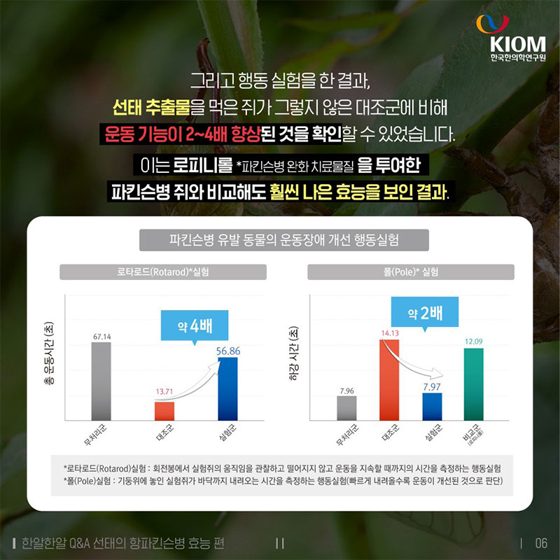 매미가 벗어놓은 허물이 약이 된다? 사진 6번