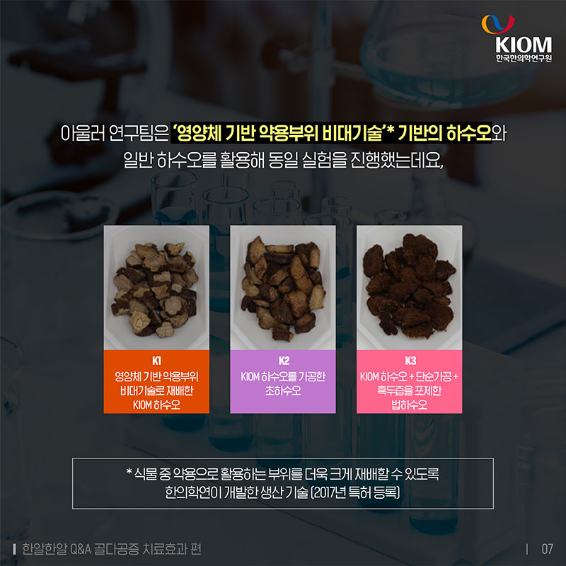 골다공증 치료효과, 검은콩 즙 포제 하수오로 개선될까요? 사진 7번