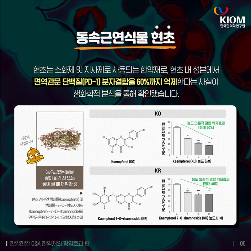 한약재의 항암효과, 한약재도 암 치료 효과가 있나요? 사진 6번