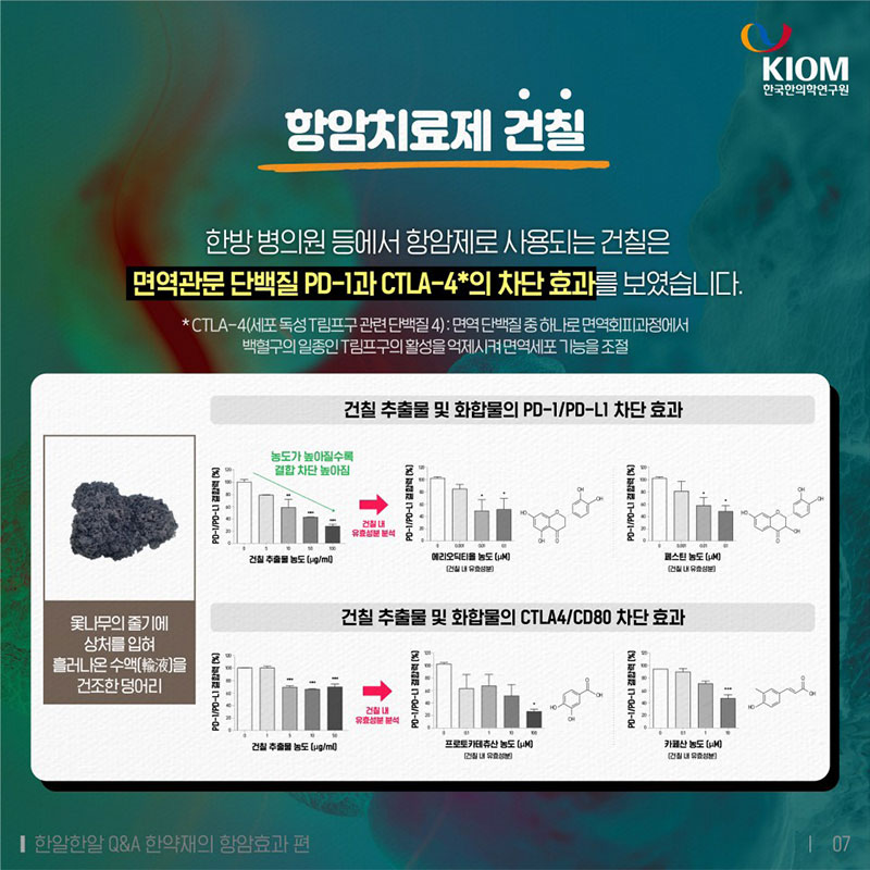 한약재의 항암효과, 한약재도 암 치료 효과가 있나요? 사진 7번