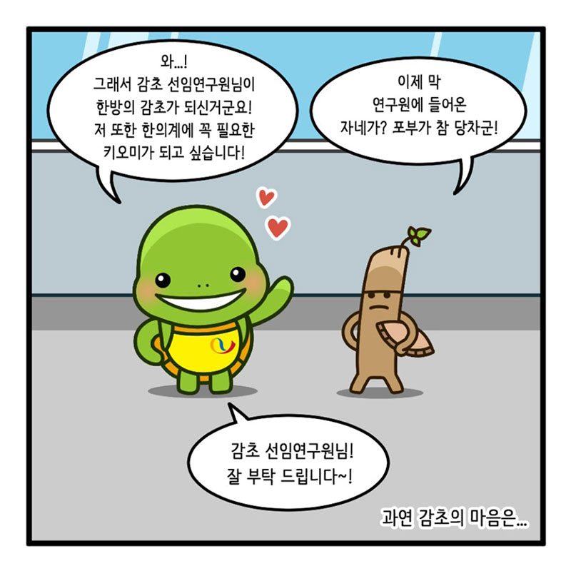 2화, 한방의 감초를 만나다 사진 10번