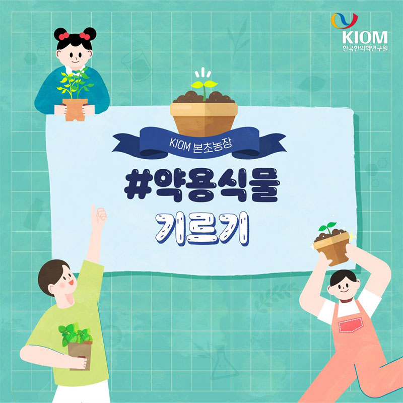 KIOM 본초 농장, 약용식물 기르기 사진 1번