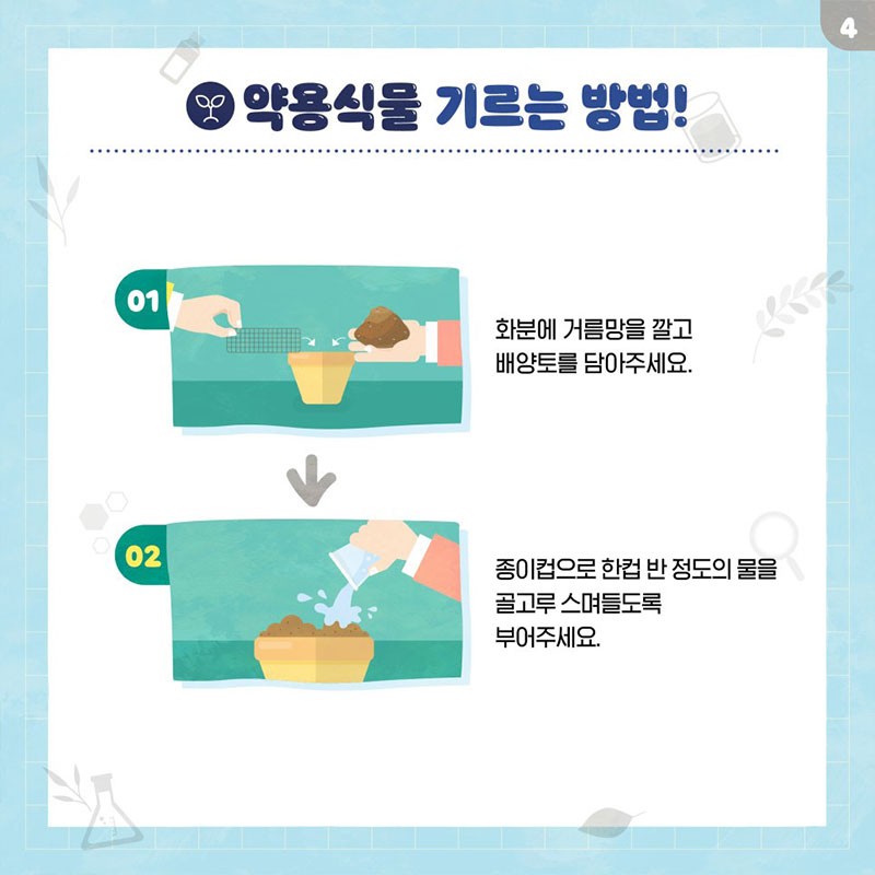 KIOM 본초 농장, 약용식물 기르기 사진 5번