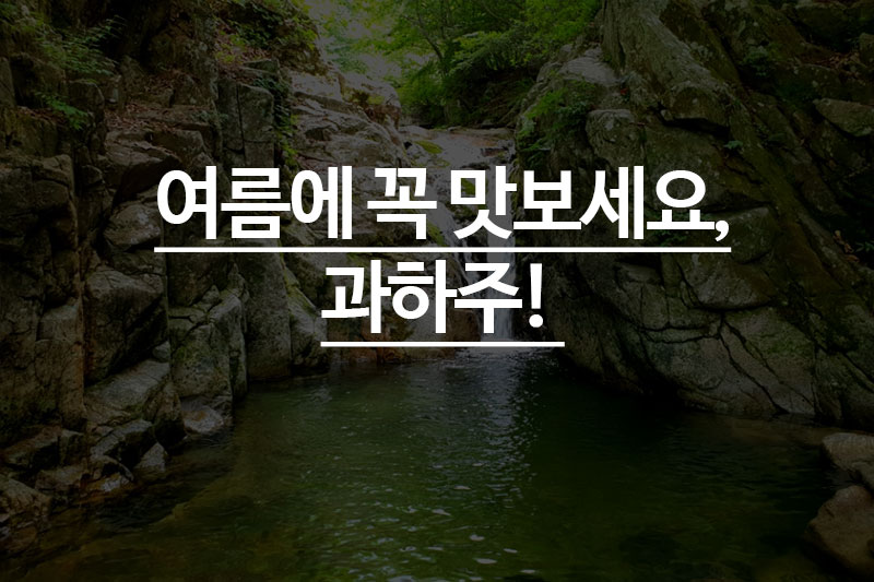 여름의 우리술! 과하주 2종 추천