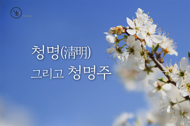 청명 그리고 청명주