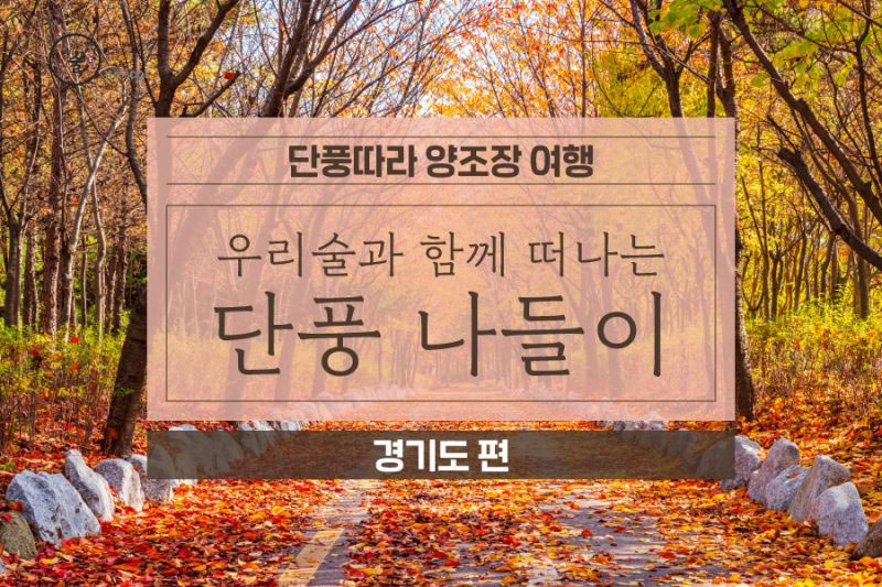 단풍놀이와 함께 가는 양조장 – 경기도편