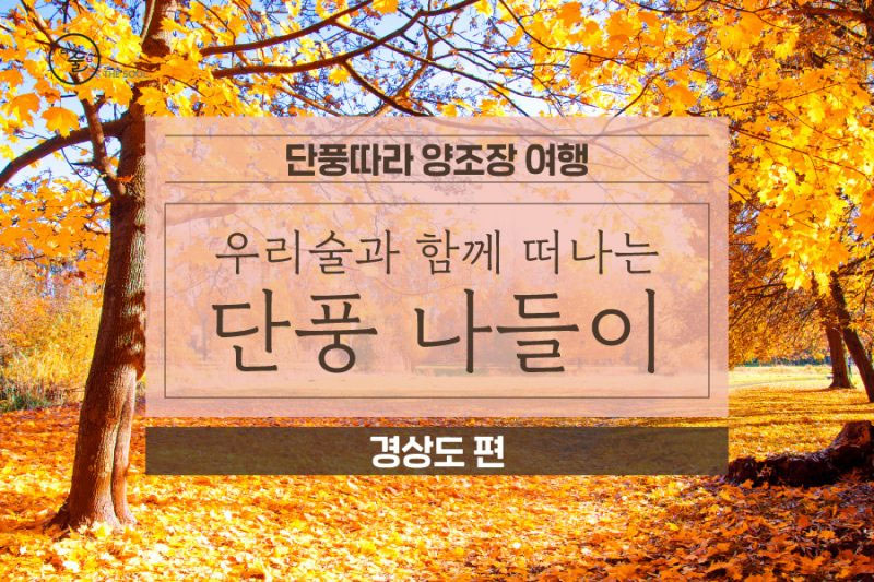 단풍놀이와 함께 가는 양조장 – 경상도편